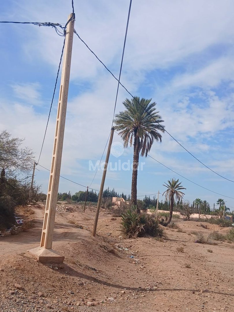 أرض للبيع في مراكش: مثالية لفيلتك الحلم - Photo 5