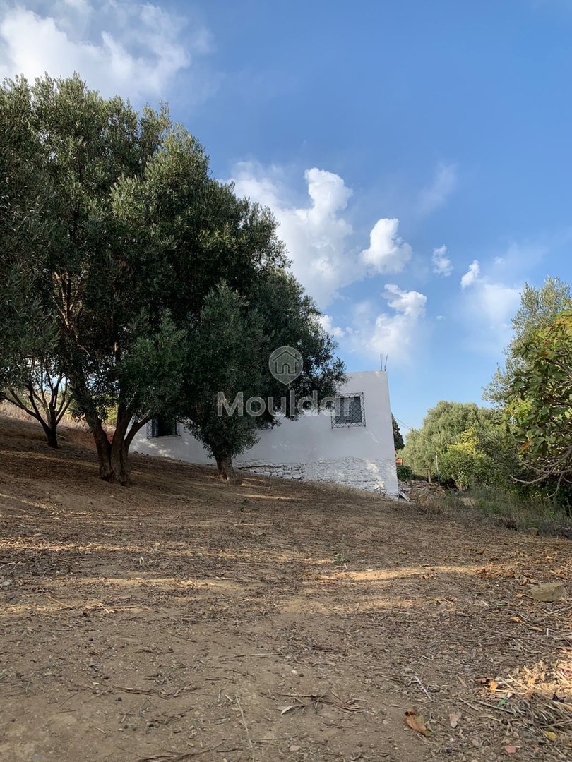 منزل للبيع في تطوان: راحة ومساحة 90م² - Photo 3