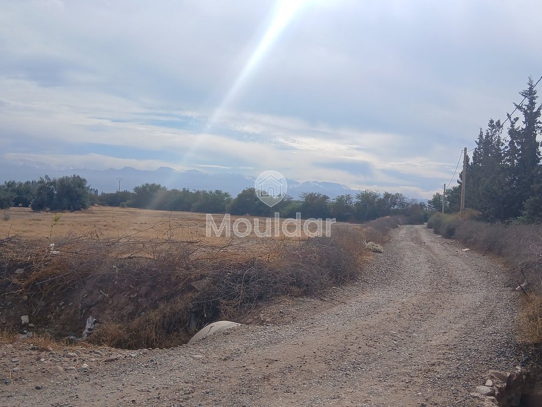 أرض للبيع في مراكش: مثالية لفيلتك الحلم - Photo 4