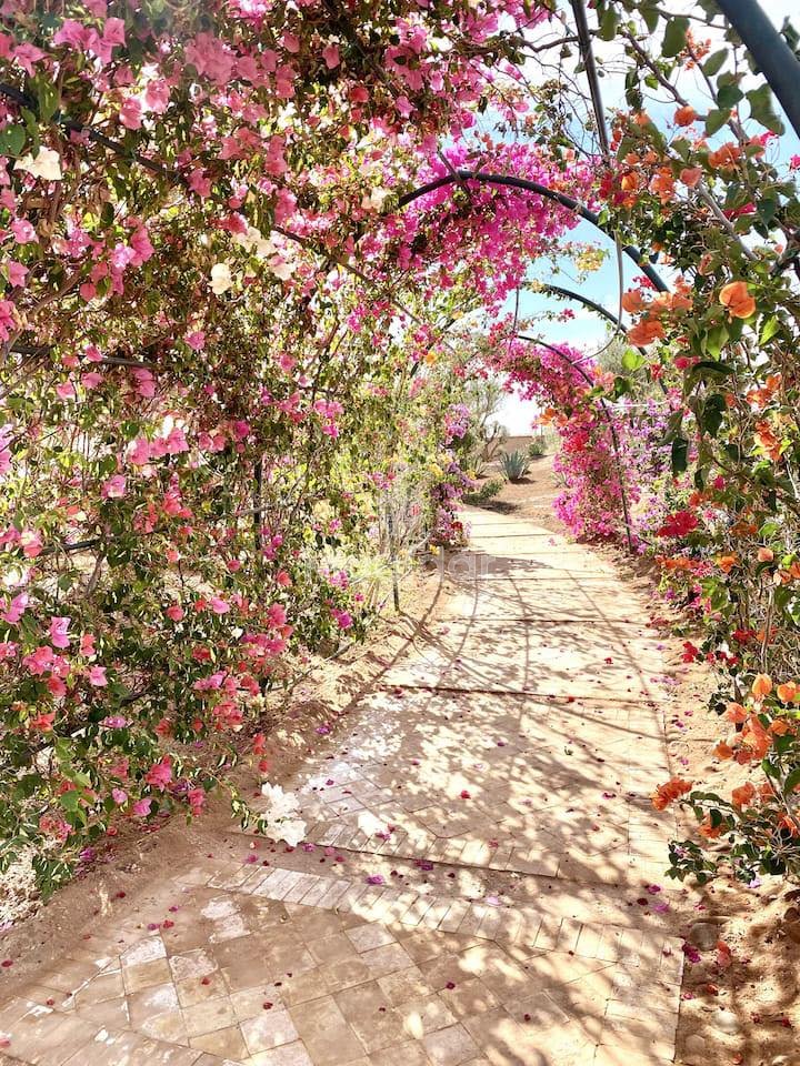 فيلا أحلام في مراكش: مسبح، حمام، وراحة - Photo 13