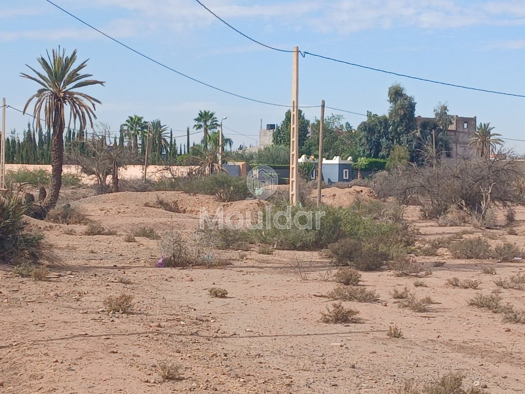 أرض للبيع في مراكش: مثالية لفيلتك الحلم - Photo 2