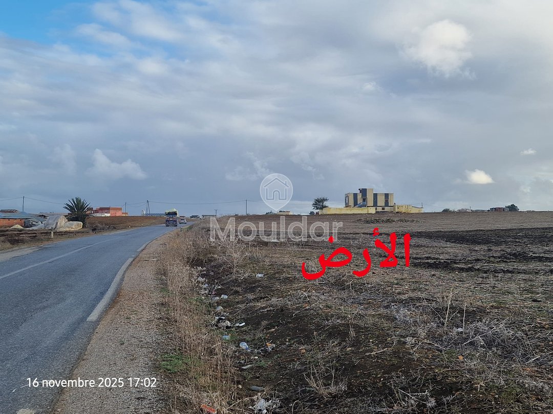 Sale of Agricultural Land in Larache: 47,500 m² to Seize - Photo 2