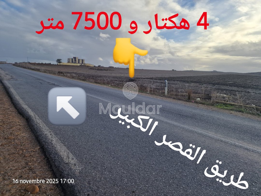 Sale of Agricultural Land in Larache: 47,500 m² to Seize - Photo 6
