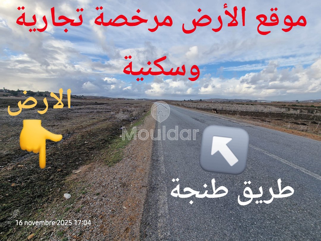 Sale of Agricultural Land in Larache: 47,500 m² to Seize - Photo 5