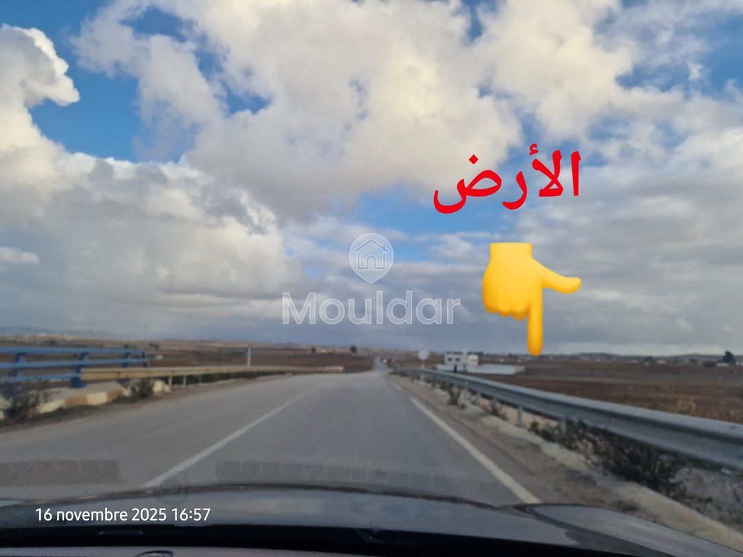 Sale of Agricultural Land in Larache: 47,500 m² to Seize - Photo 7