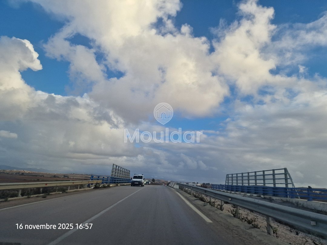 Sale of Agricultural Land in Larache: 47,500 m² to Seize - Photo 1