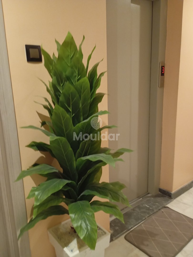 Appartamento per le Vacanze a Marrakech: Comfort e Sicurezza Assicurati - Photo 16