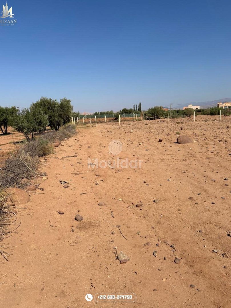 أرض للبيع في مراكش: فرصة استثنائية - Photo 3