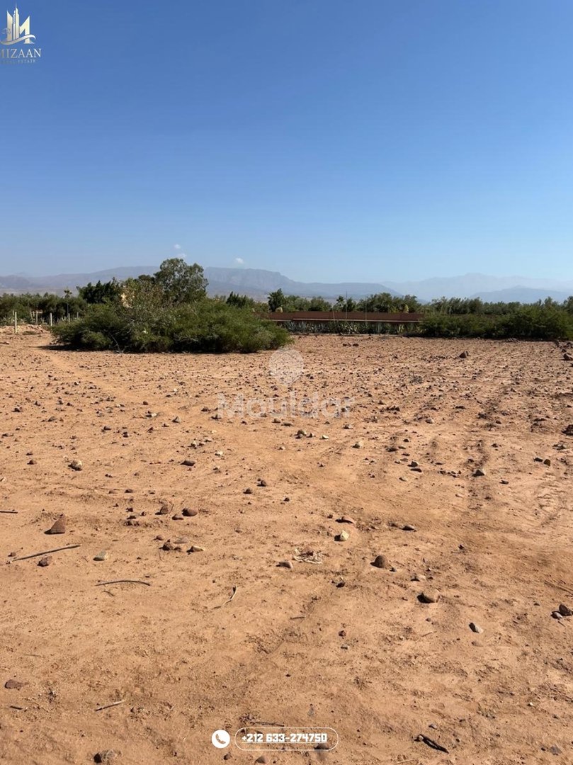 أرض للبيع في مراكش: فرصة استثنائية - Photo 2