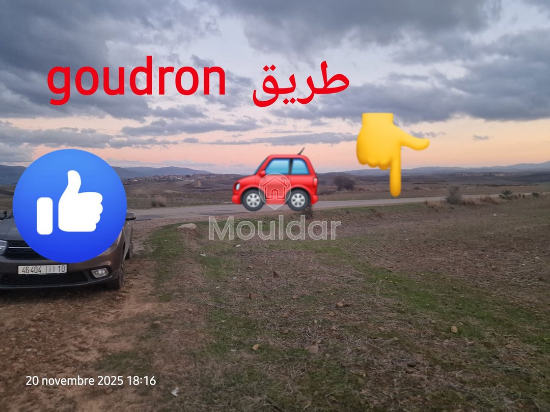 Agricultural Land for Sale in Ksar el-Kebir - 140,000 m² - Photo 2