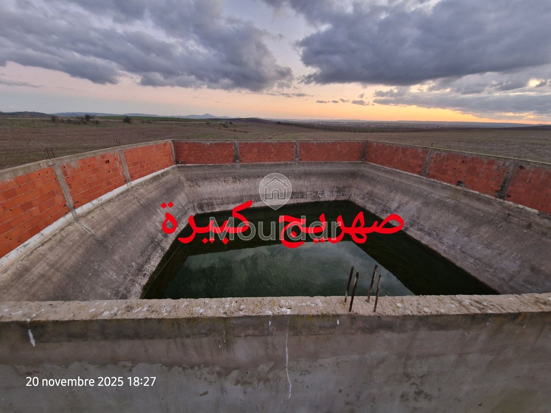 Agricultural Land for Sale in Ksar el-Kebir - 140,000 m² - Photo 3