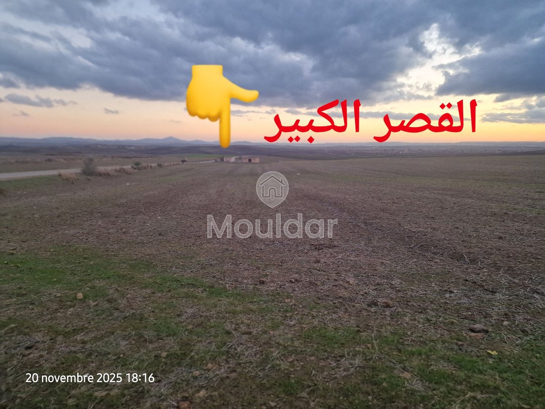 Agricultural Land for Sale in Ksar el-Kebir - 140,000 m² - Photo 6