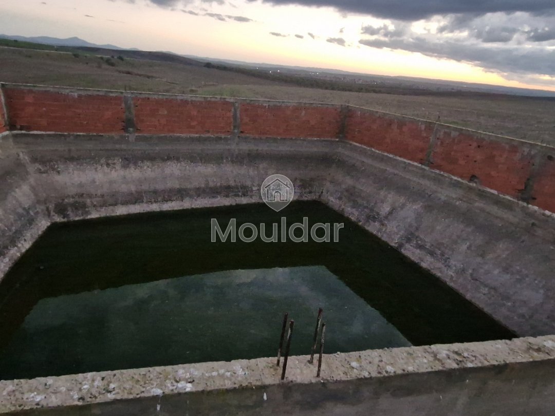 Agricultural Land for Sale in Ksar el-Kebir - 140,000 m² - Photo 4