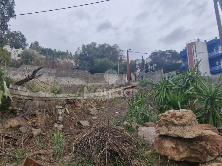 Terreno à venda em Tânger - Achakar: Oportunidade Vila - Photo 1
