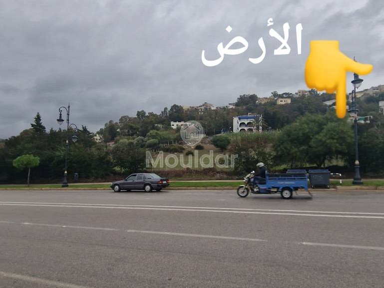 Terreno à venda em Tânger - Achakar: Oportunidade Vila - Photo 5