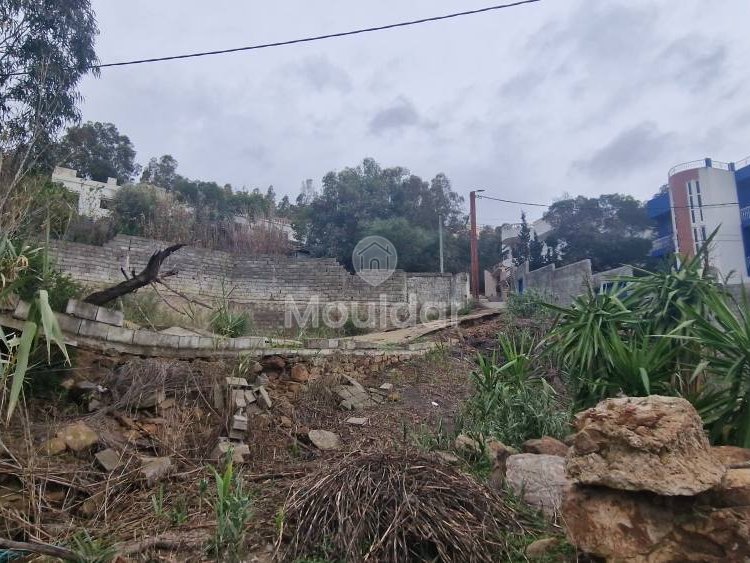 Terreno à venda em Tânger - Achakar: Oportunidade Vila - Photo 2