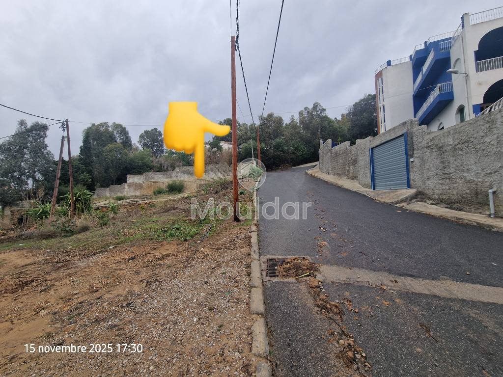 Terreno à venda em Tânger - Achakar: Oportunidade Vila - Photo 6