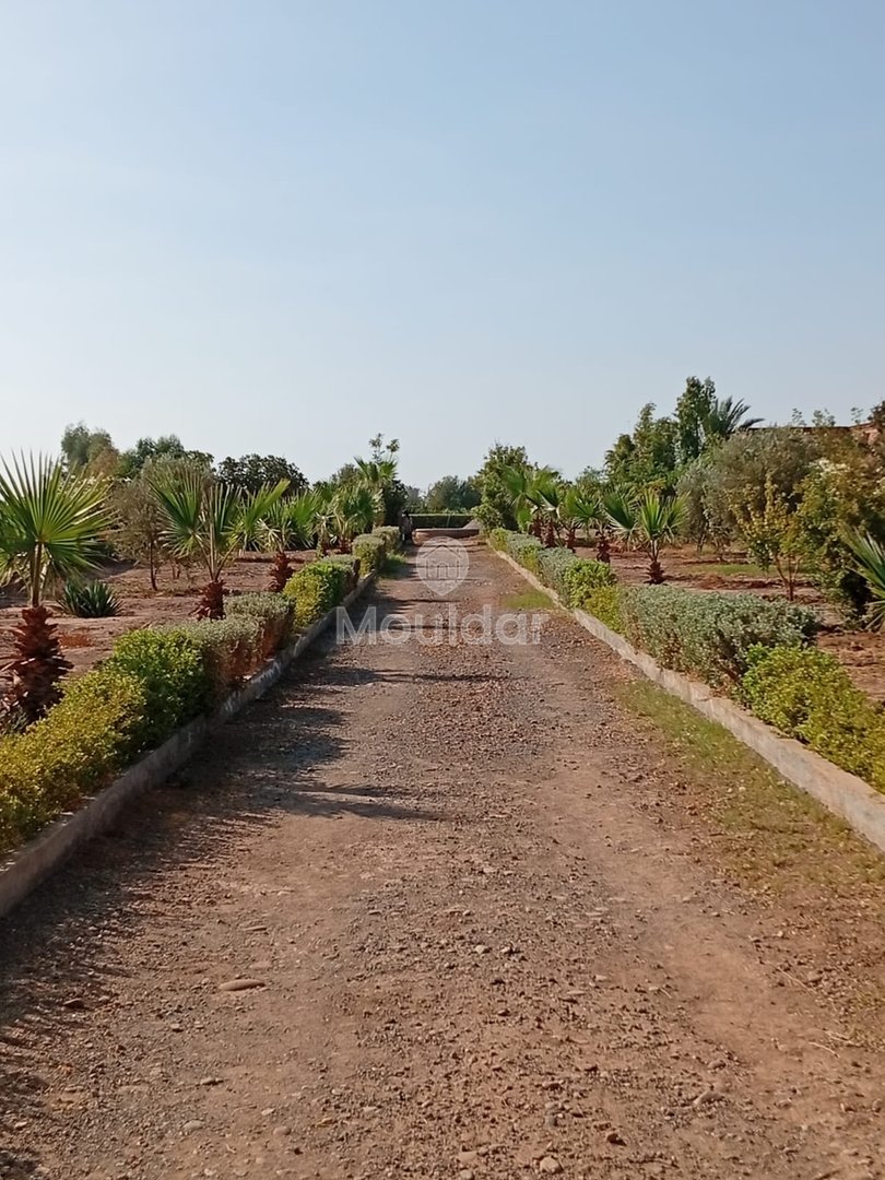 Elegant Villa for Sale in Marrakech, 10,000 m² of Luxury - Photo 6