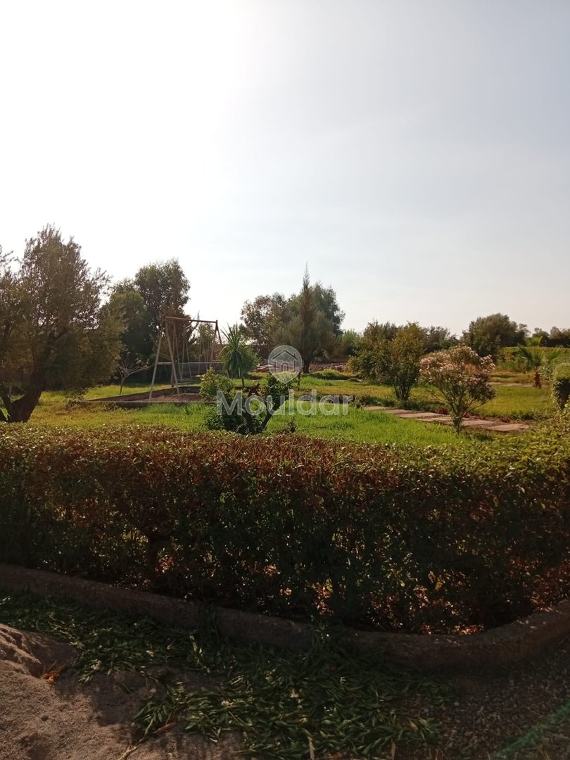 Elegant Villa for Sale in Marrakech, 10,000 m² of Luxury - Photo 7