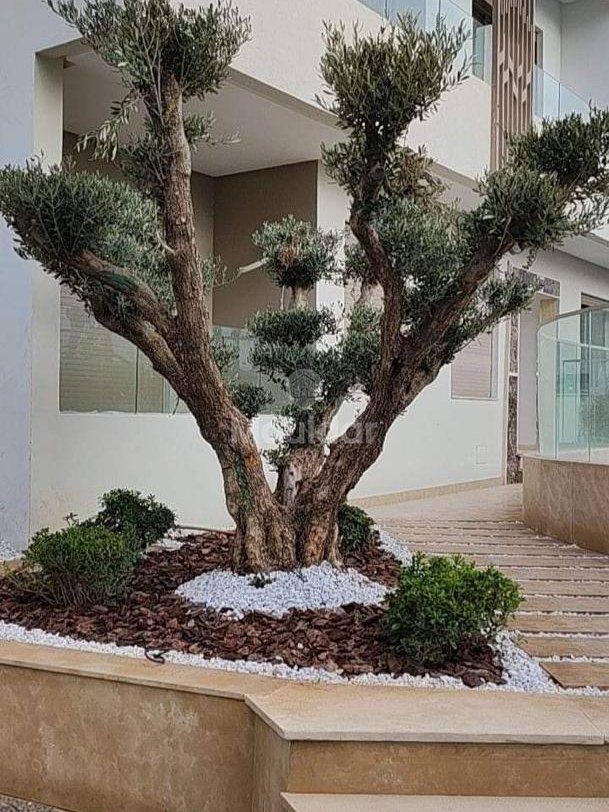 شقة للإيجار في سيدي رحال مع تراس ساحر - Photo 8