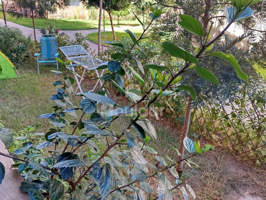 Strahlendes Studio in Marrakesch: Komfort und Entspannung garantiert - Photo 20