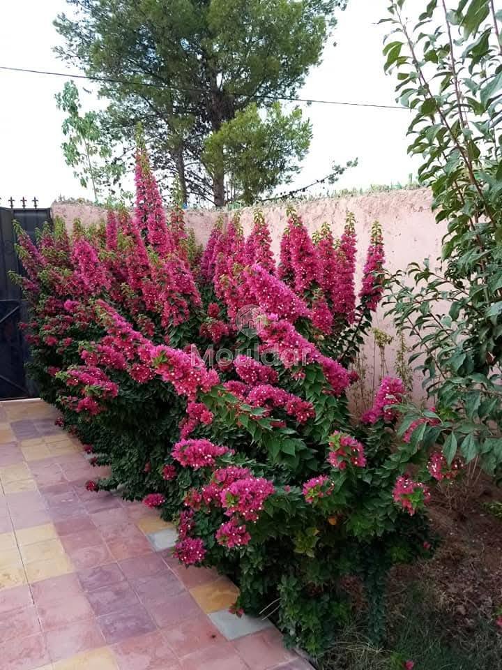 فيلا حديثة في مراكش: 2 غرف نوم مع حديقة وتراس - Photo 18