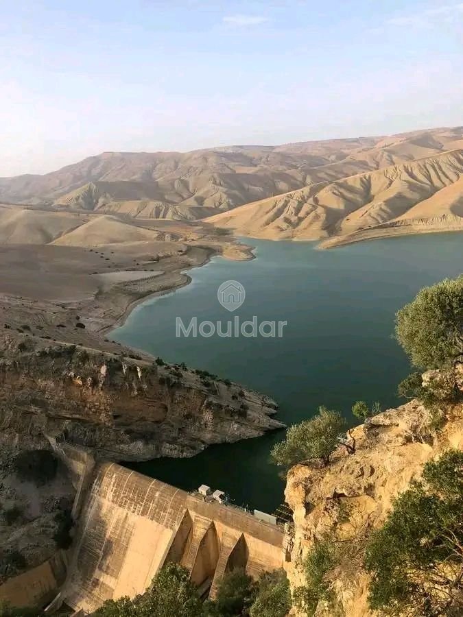 Ferme à Vendre à Khemisset : Espace, Confort et Nature - Photo 10