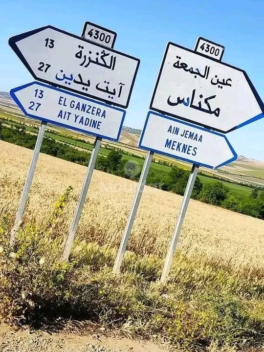 Ferme à Vendre à Khemisset : Espace, Confort et Nature - Photo 11