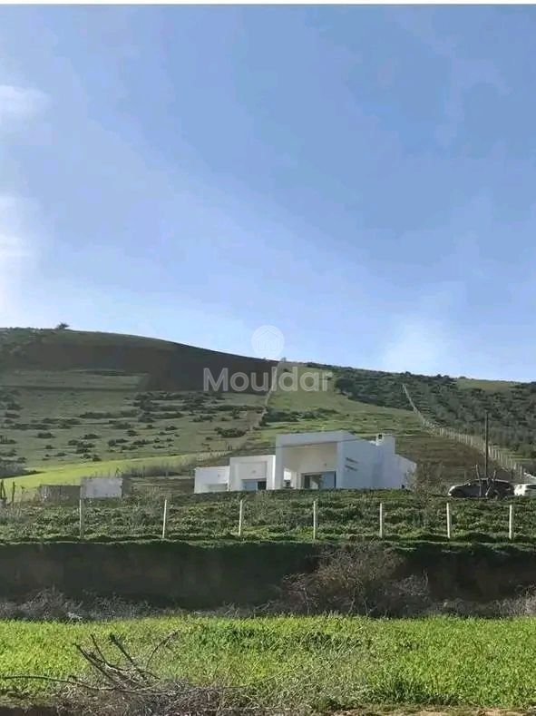 Ferme à Vendre à Khemisset : Espace, Confort et Nature - Photo 3