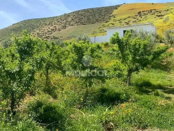 Ferme à Vendre à Khemisset : Espace, Confort et Nature - Photo 8