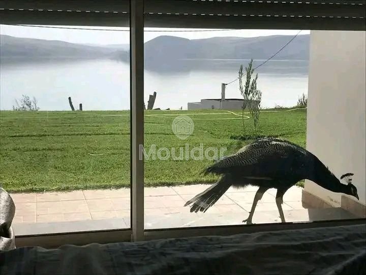 Ferme à Vendre à Khemisset : Espace, Confort et Nature - Photo 5
