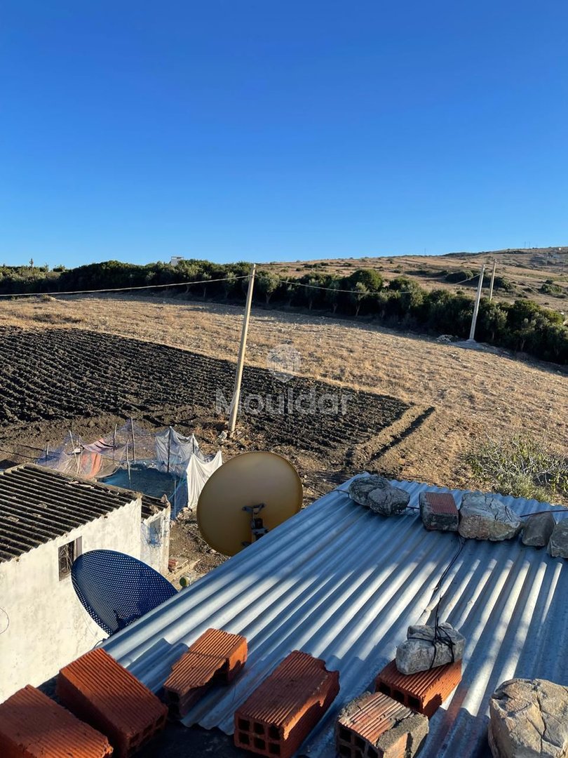 Farma in vendita a Tangeri: spazio agricolo sicuro di 7700 m² - Photo 4