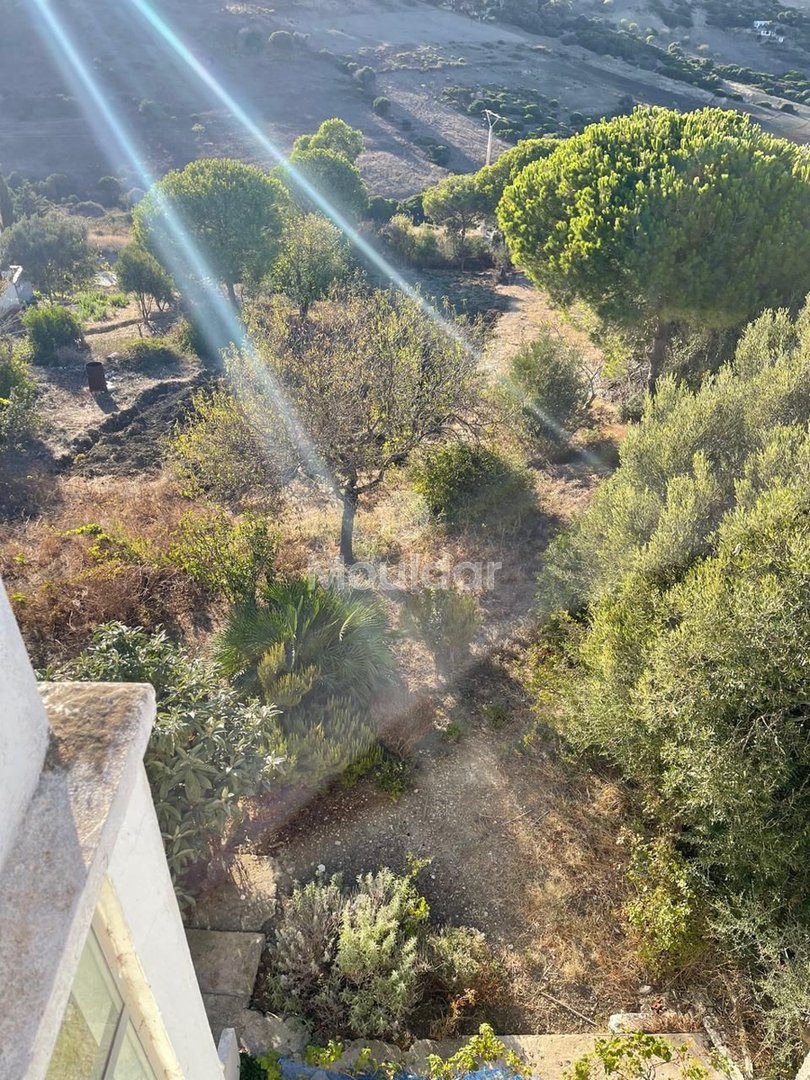 Farma in vendita a Tangeri: spazio agricolo sicuro di 7700 m² - Photo 5