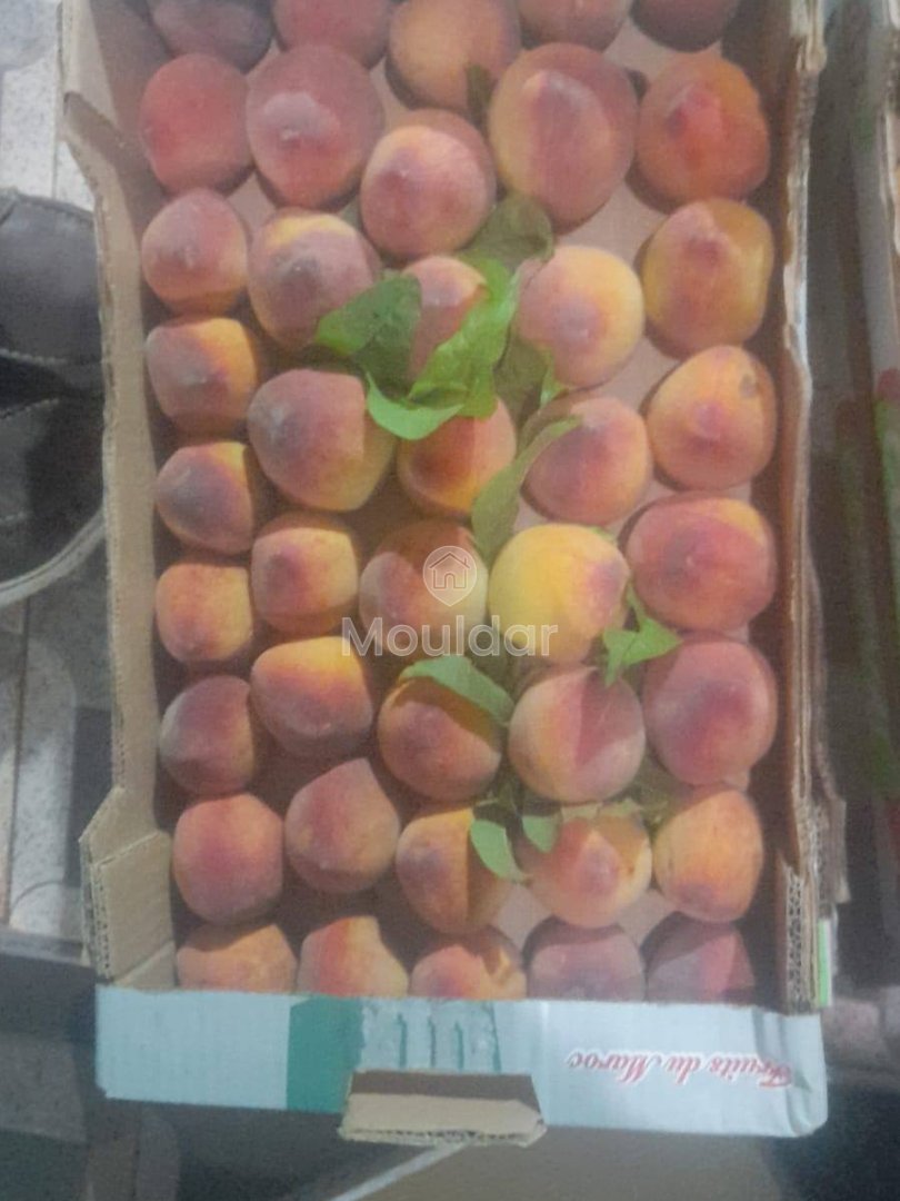 Ferme de vânzare în Fez: 25.000 m² de terenuri - Photo 2