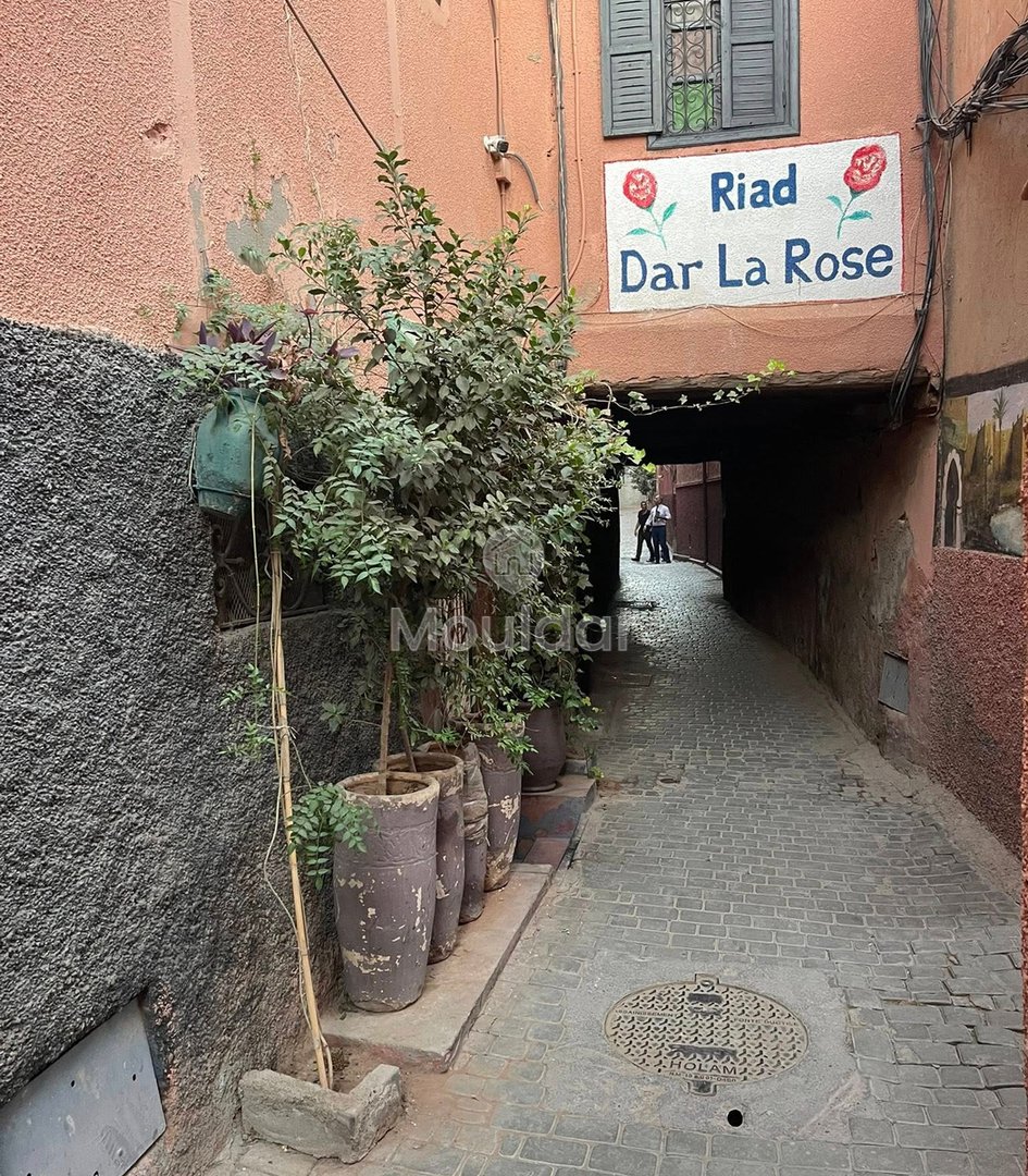 منزل الأحلام في مراكش: 5 غرف مع شرفة - Photo 13