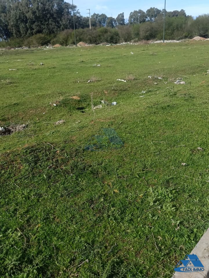 VENTE TERRAIN POUR VILLA A HARHOURA TEMARA - Photo 1