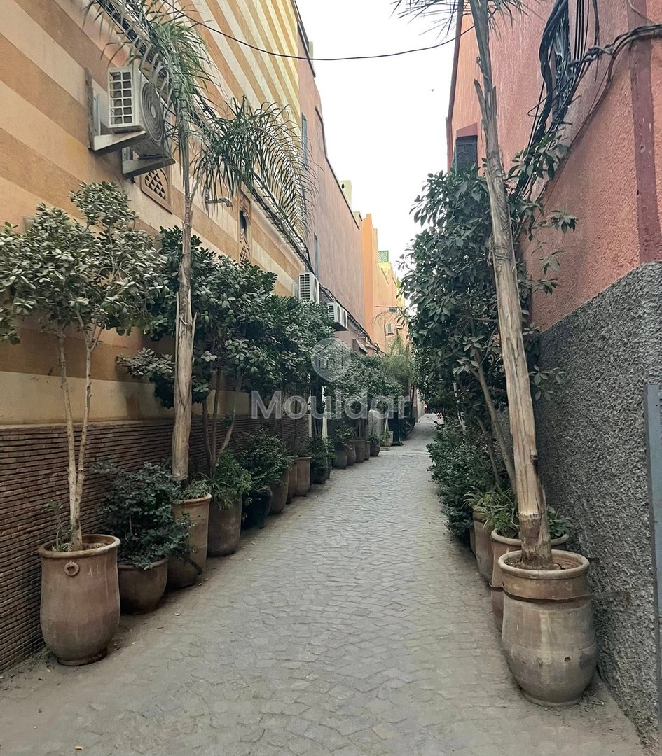 منزل الأحلام في مراكش: 5 غرف مع شرفة - Photo 10