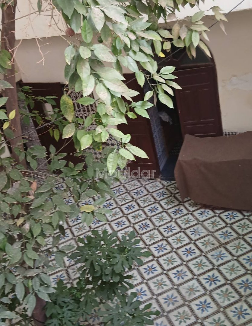 Riad mélkia προς πώληση, Μαρακές: Χαρακτηριστικό και εξαιρετικός χώρος - Photo 7