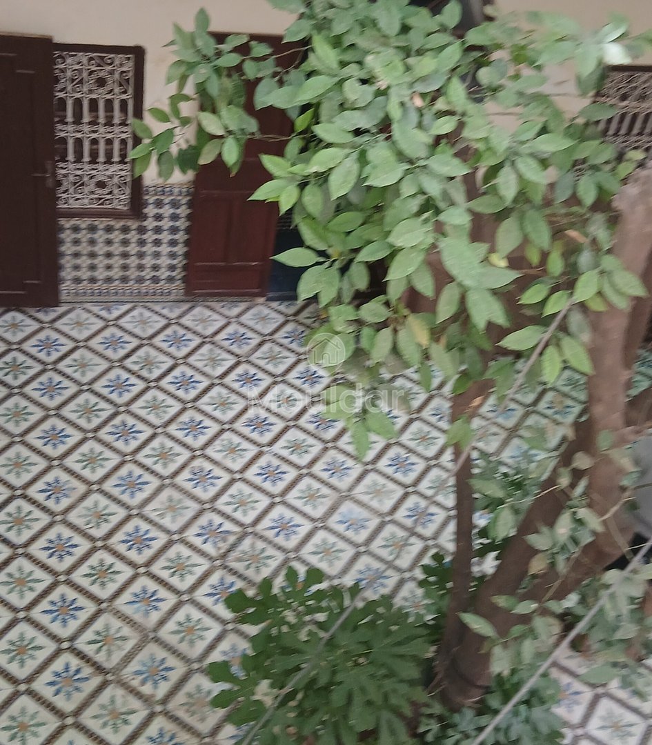 Riad mélkia προς πώληση, Μαρακές: Χαρακτηριστικό και εξαιρετικός χώρος - Photo 6