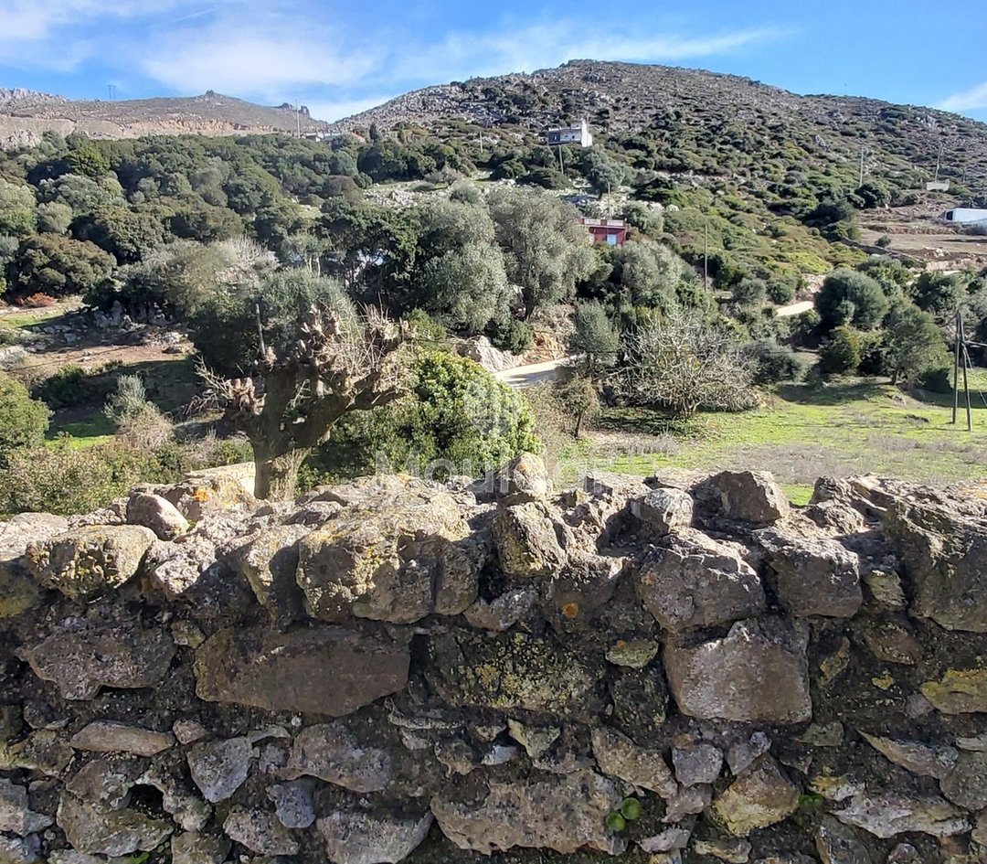 Πωλείται, ένα μοναδικό ακίνητο στην Taghramt (Al-Ansar) - 6000 m² δυνατότητες - Photo 6