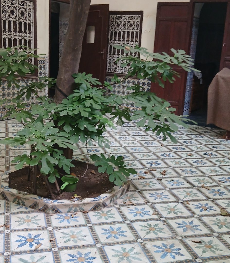 Riad mélkia προς πώληση, Μαρακές: Χαρακτηριστικό και εξαιρετικός χώρος - Photo 4