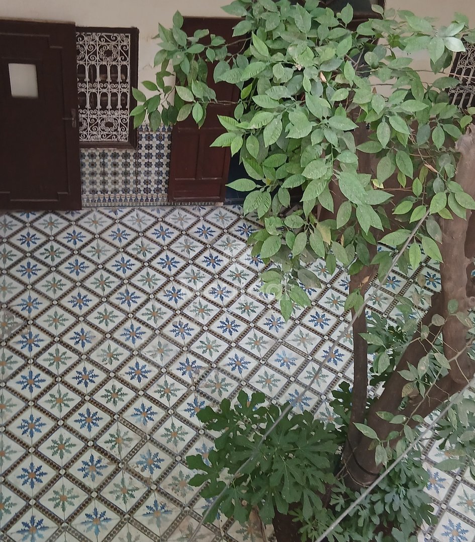 Riad mélkia προς πώληση, Μαρακές: Χαρακτηριστικό και εξαιρετικός χώρος - Photo 9