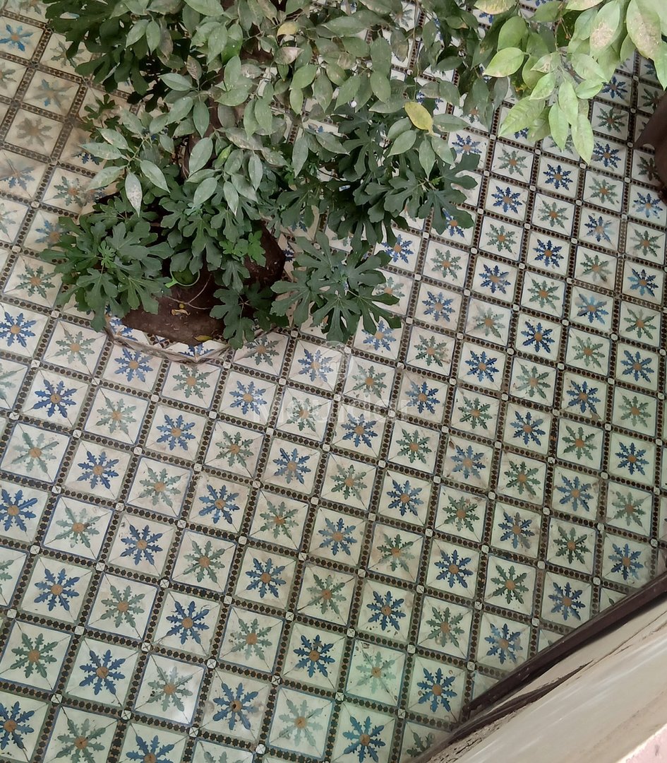 Riad mélkia προς πώληση, Μαρακές: Χαρακτηριστικό και εξαιρετικός χώρος - Photo 12