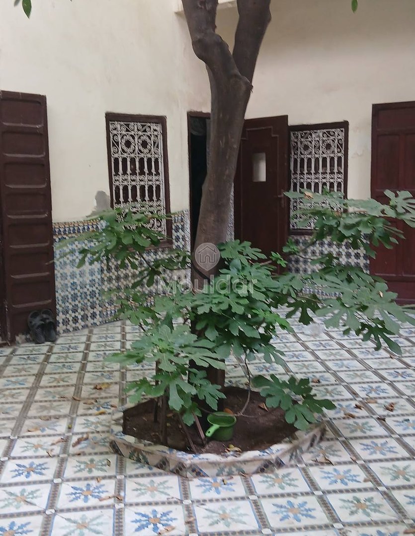 Riad mélkia προς πώληση, Μαρακές: Χαρακτηριστικό και εξαιρετικός χώρος - Photo 2