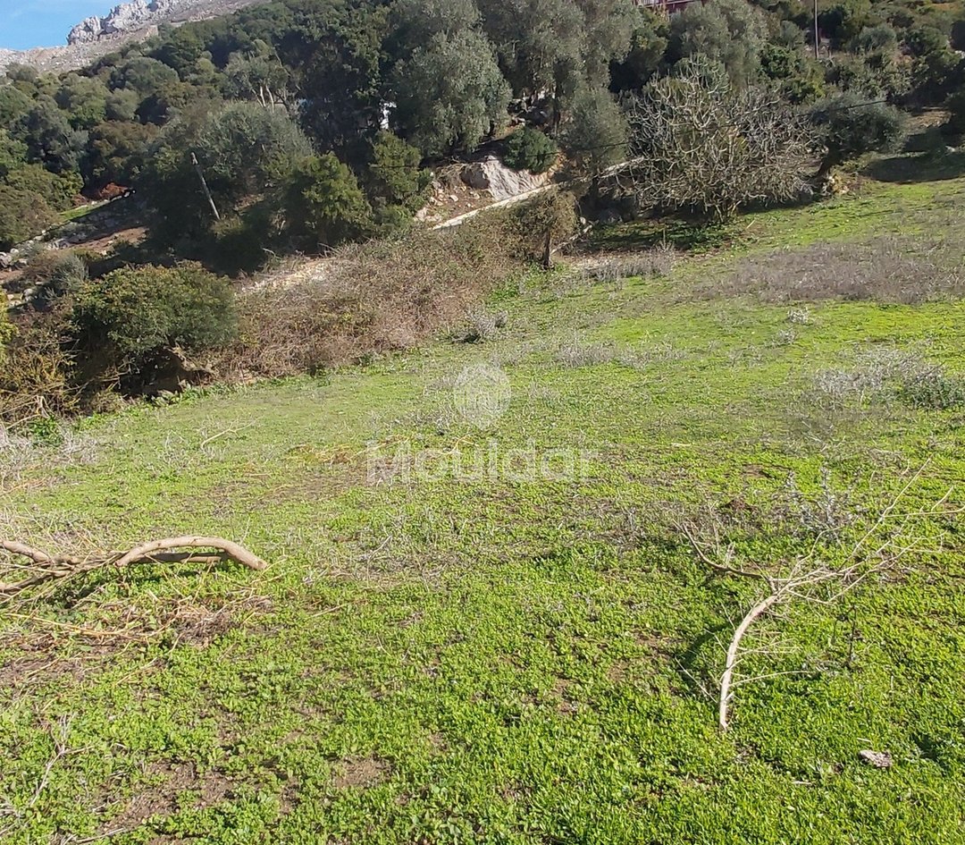 Πωλείται, ένα μοναδικό ακίνητο στην Taghramt (Al-Ansar) - 6000 m² δυνατότητες - Photo 3