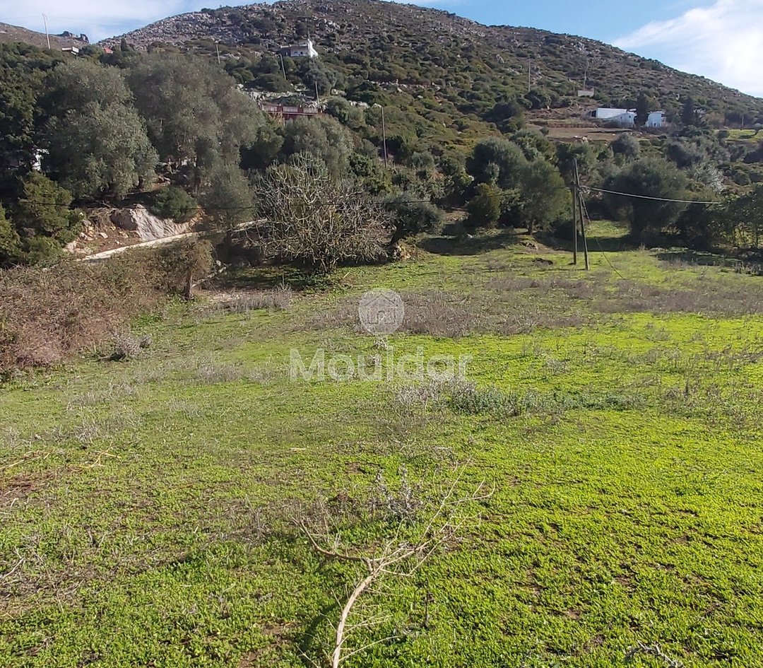Πωλείται, ένα μοναδικό ακίνητο στην Taghramt (Al-Ansar) - 6000 m² δυνατότητες - Photo 5