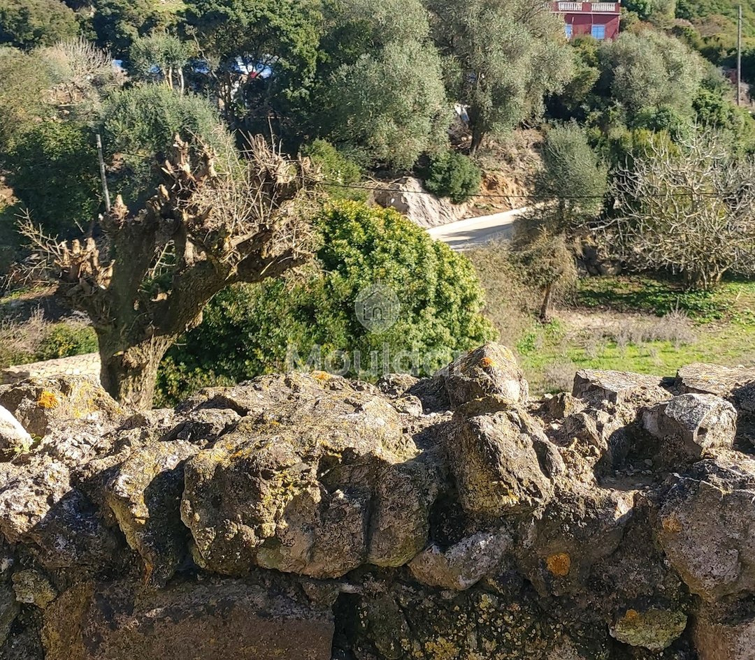 Πωλείται, ένα μοναδικό ακίνητο στην Taghramt (Al-Ansar) - 6000 m² δυνατότητες - Photo 4