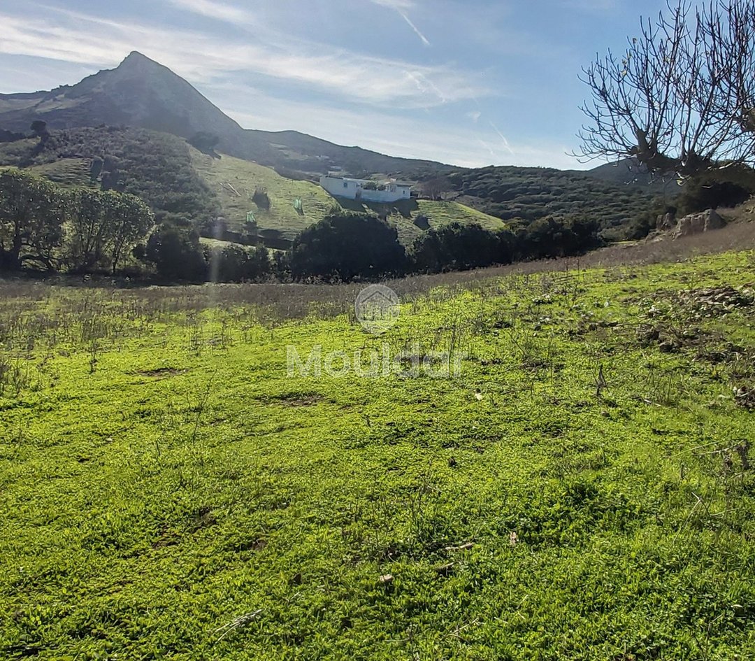 Πωλείται, ένα μοναδικό ακίνητο στην Taghramt (Al-Ansar) - 6000 m² δυνατότητες - Photo 8