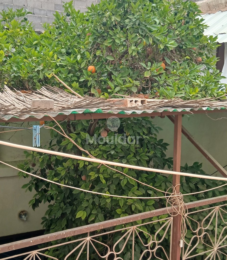 Riad mélkia προς πώληση, Μαρακές: Χαρακτηριστικό και εξαιρετικός χώρος - Photo 15