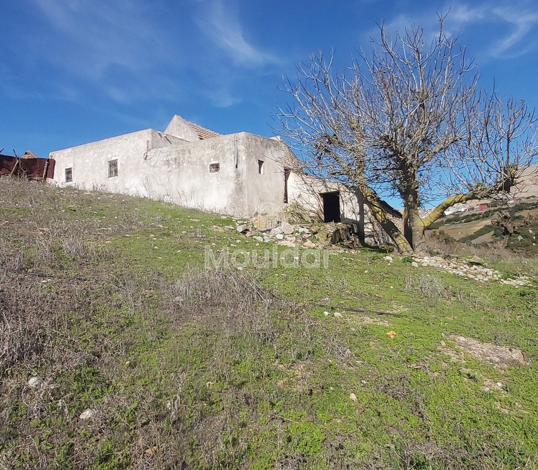 Πωλείται, ένα μοναδικό ακίνητο στην Taghramt (Al-Ansar) - 6000 m² δυνατότητες - Photo 1
